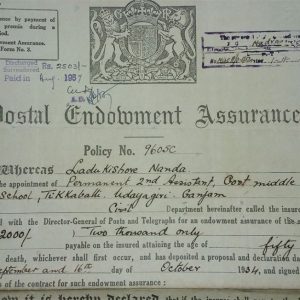 Essay on ibe1 picture