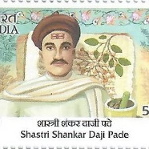 INDIA STAMP - Shastri Shankar Daji Pade - Master Healer of AYUSH - Medical Health - MNH Stamps #pk