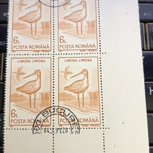 BLOCK OF 4 - 1991 ROMANIA 6 LEU STAMP - THEME BIRD - LIMOSA LIMOSA - WATER BIRD GODWIT - ANIMAL STAMPS #pk