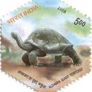 India Postage 2008 Aldabra Giant Tortoise mint stamp #is08