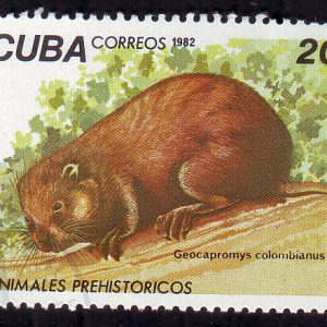 Cuba Postage 1999 Pre historic Animals stamp – Geocopromys colombianus #wthm1