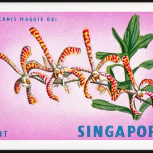 Singapore Postage 1962 orchid flowers 1 Cent mint stamp #wa1