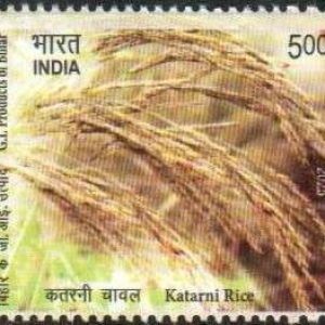 INDIA STAMP 2025 - KATARANI RICE - G I PRODUCTS OF BIHAR - Mint Stamps #pk