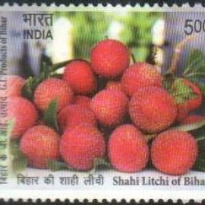 INDIA STAMP 2025 - SHAHI LITCH - G I PRODUCTS OF BIHAR - Mint Stamps #pk