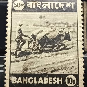 RARE BANGLADESH 10 POISA POSTAGE STAMP - Cattle, Agriculture, Farmer, Cow Theme #pk
