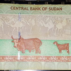 CENTRAL BANK OF SUDAN 50 POUNDS BANK NOTE RARE OLD ISSUE - Wildlife, Sheep, cow, goat, camels #pk